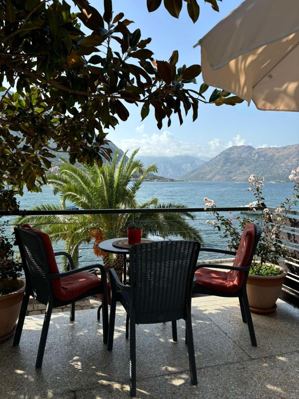 Sunny Bay Apartments Kotor Exteriör bild